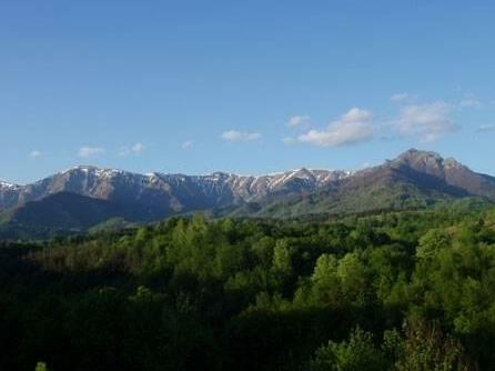 Ilidia Guest House - Photo3