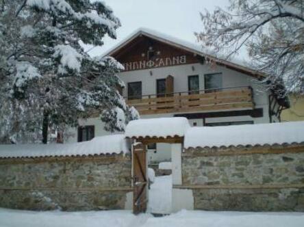 Villa Filip Bachevo - Photo4