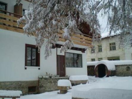Villa Filip Bachevo - Photo5