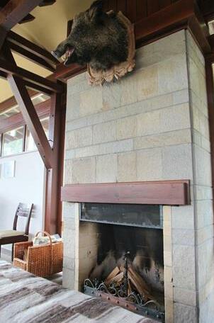 Luxury Villa Bansko - Photo2