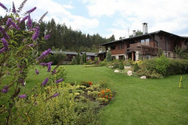 Luxury Villa Bansko - Photo4