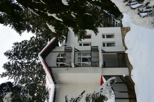 Villa Elena Borovets - Photo2
