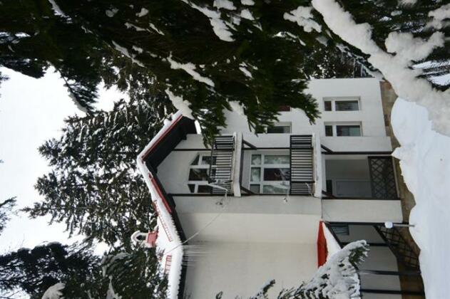 Villa Elena Borovets - Photo3
