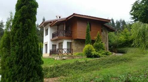 Bozhencite Relax - Photo2