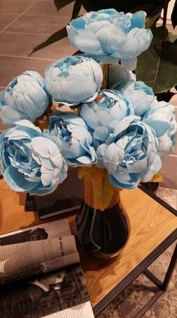 Blue Rose Comfort - Photo2
