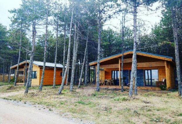 Gradina Forest Villas - Photo5