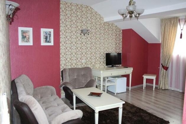 Villa Paris Hisarya - Photo4