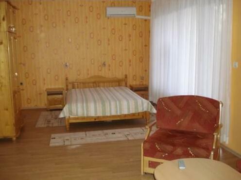 Vlasevi Guest House - Photo4