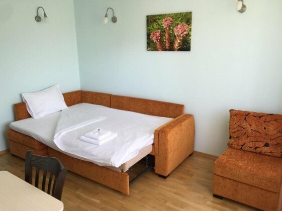 Mala Planina Guest House - Photo3