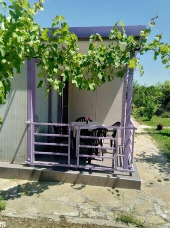 Exotica Houses - Photo3