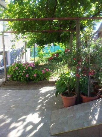 Guesthouse Kolevi - Photo3