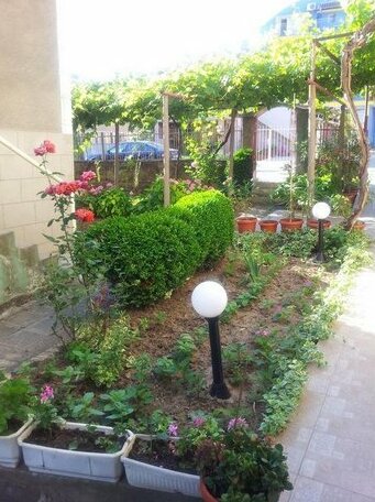 Guesthouse Kolevi - Photo4