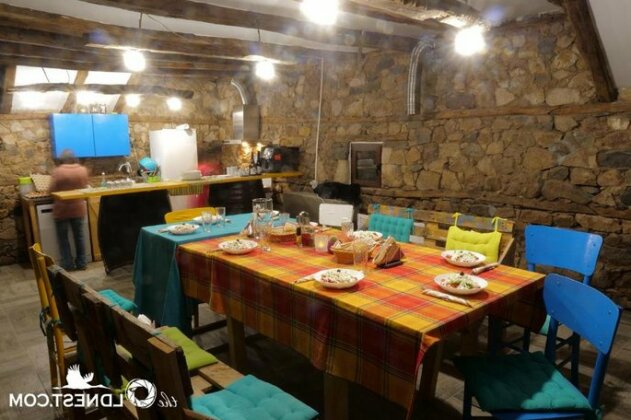 The Old Nest - Photo3