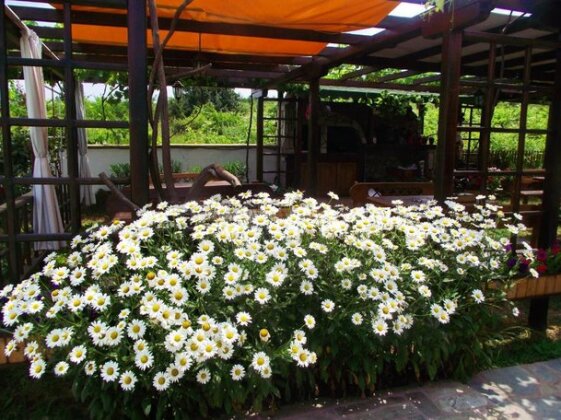 Lozyata Guest House - Photo5