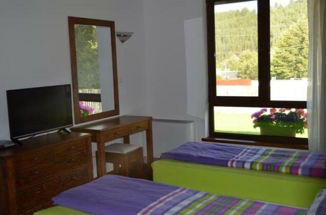 Gostnici Holiday Home - Photo4