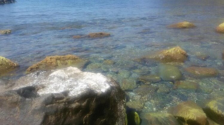 Faina Guest House - Photo3