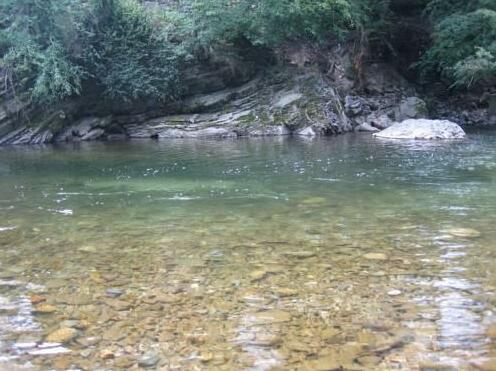 Family Hotel Balkan - Photo4
