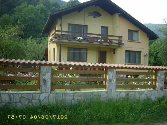 Villa Ribarica - Photo4