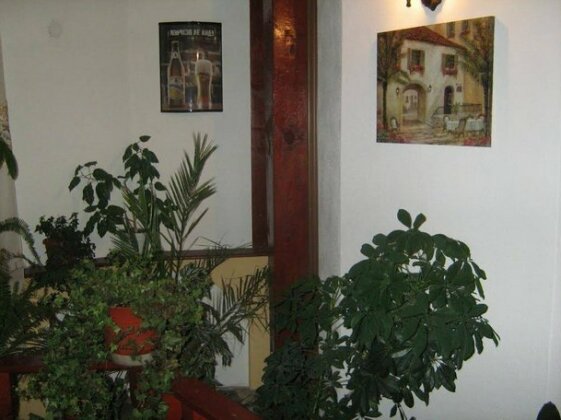 Guest House Flora - Photo2