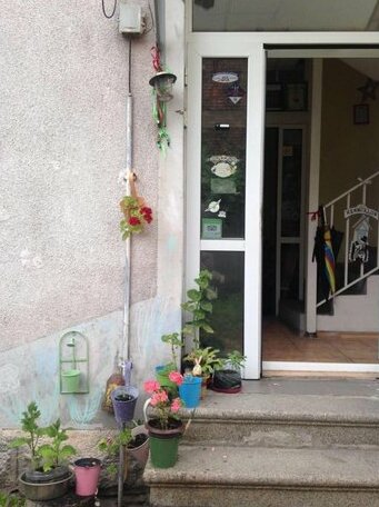 Elysia Homestay - Photo3