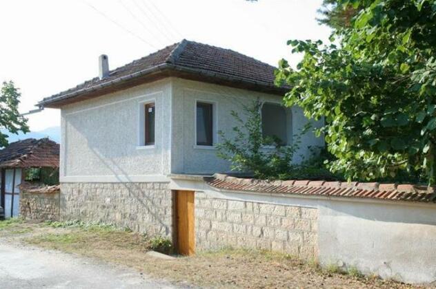 Lazarovata House - Photo2