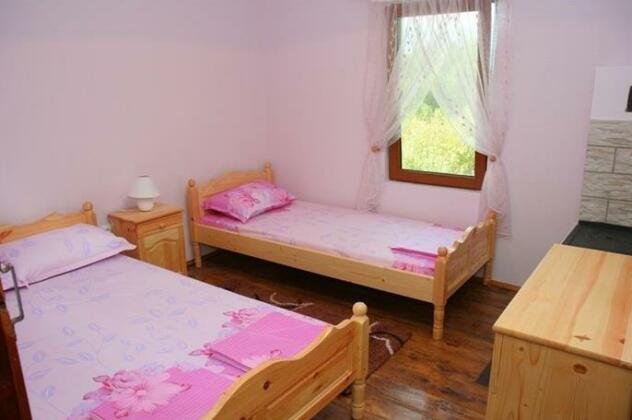 Lazarovata House - Photo4
