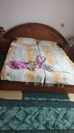 Guest House Jani - Photo2