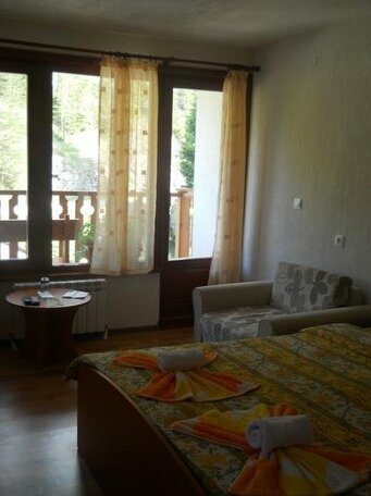 Guest House Shareniya Most - Photo4