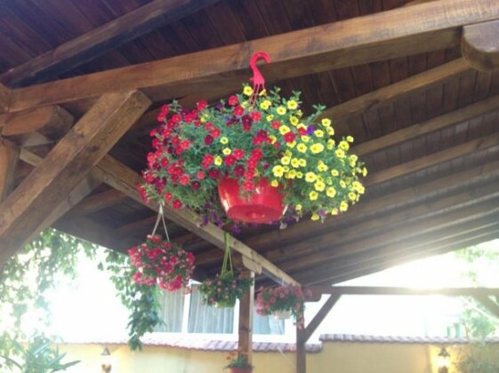 Guest House PIP - Photo2