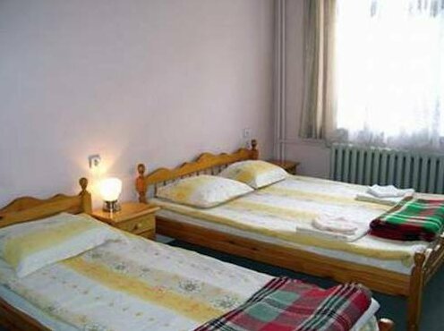 Hotel Detelina - Photo5