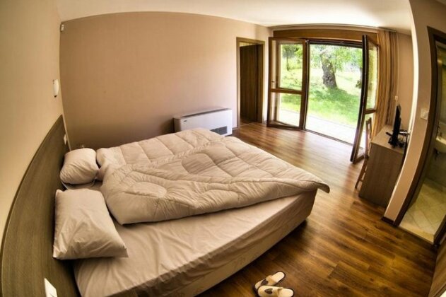 Villa Dream Yablanitsa - Photo4