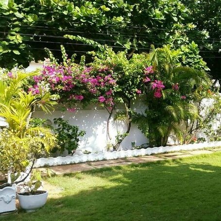 Villa Ekabo - Photo3