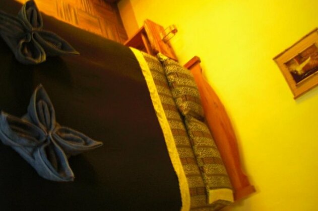 Altai Oasis Eco lodge - Photo3