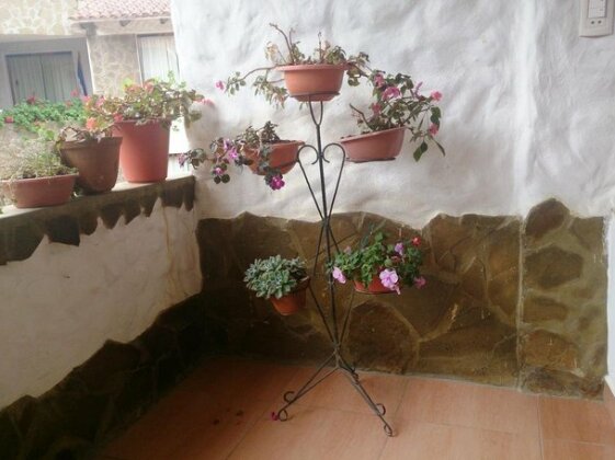 Plaza Pueblo Hotel - Photo3