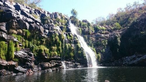 Aeme Chapada dos Veadeiros