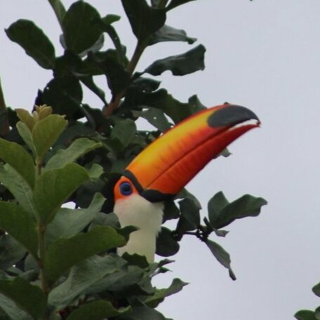 Chales Recanto Paraiso - Photo3
