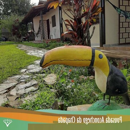 Pousada Aconchego da Chapada - Photo4