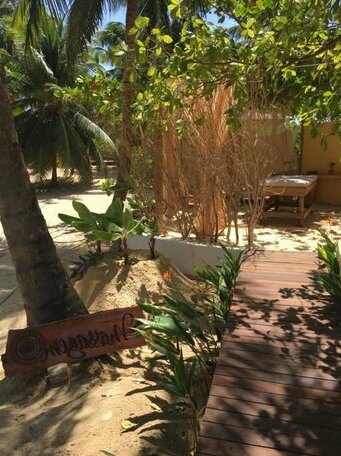 Casa das Rendas - Photo2