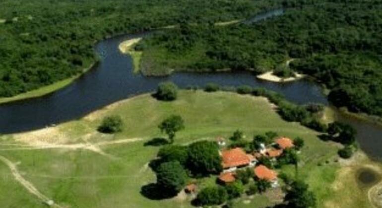 Hotel Barra Mansa Pantanal - Photo4