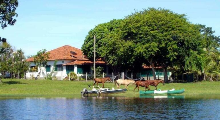 Hotel Barra Mansa Pantanal - Photo5