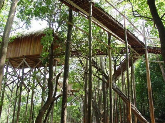 Juma Amazon Lodge - Photo2