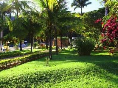 Bougainville Thermas - Photo4