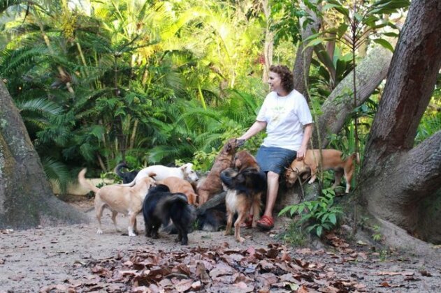 Nature Retreat with Healing Dogs in Brazil - Photo2