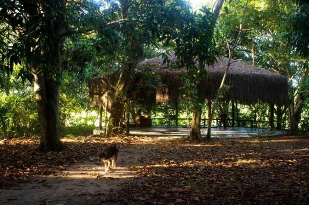 Nature Retreat with Healing Dogs in Brazil - Photo3