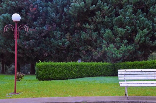Hotel Platanus - Photo2