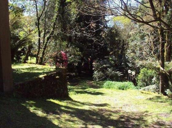 Casa em Canela - Photo3