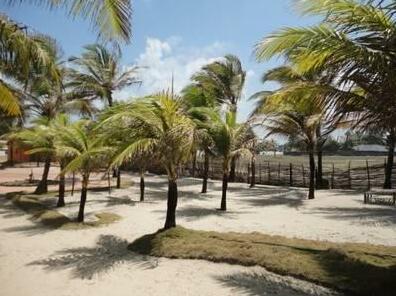 Punto Cunhau Use Beach - Photo5