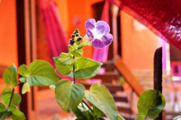 Casa Mangarosa - Photo2