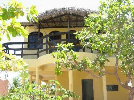 Desert Rose - Photo4
