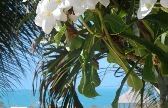 Residencia Oceanos - Photo3